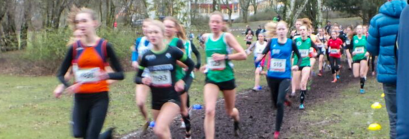 Deutsche Meisterschaften Crosslauf Leichtathletik